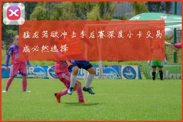 猛龙若欲冲击季后赛深度小卡交易成必然选择